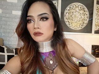 JackieRobinson webcam